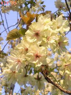 ���d��(2)